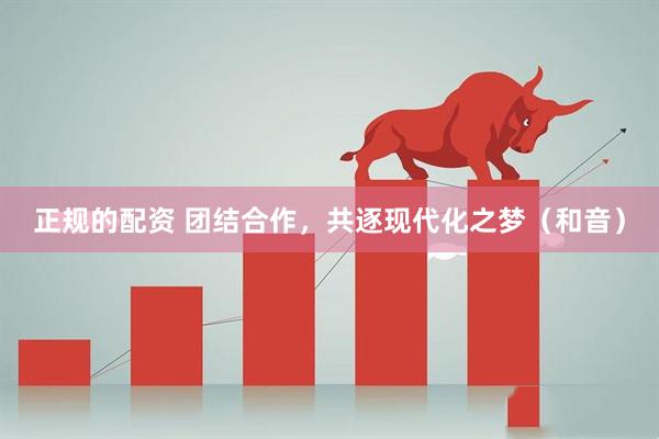 正规的配资 团结合作，共逐现代化之梦（和音）