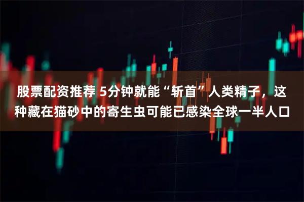 股票配资推荐 5分钟就能“斩首”人类精子，这种藏在猫砂中的寄生虫可能已感染全球一半人口